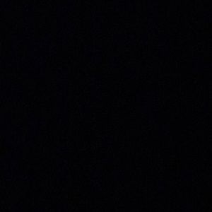 Meet your Posher, Troy